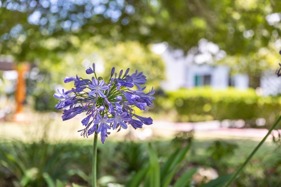 Commercial Property for Sale in Wittedrift Western Cape